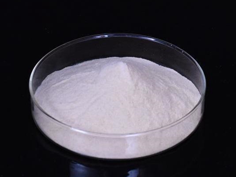 Xanthan Gum Food Grade